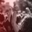 SIPESP apoia manifestação dos aprovados no concurso IP/2023